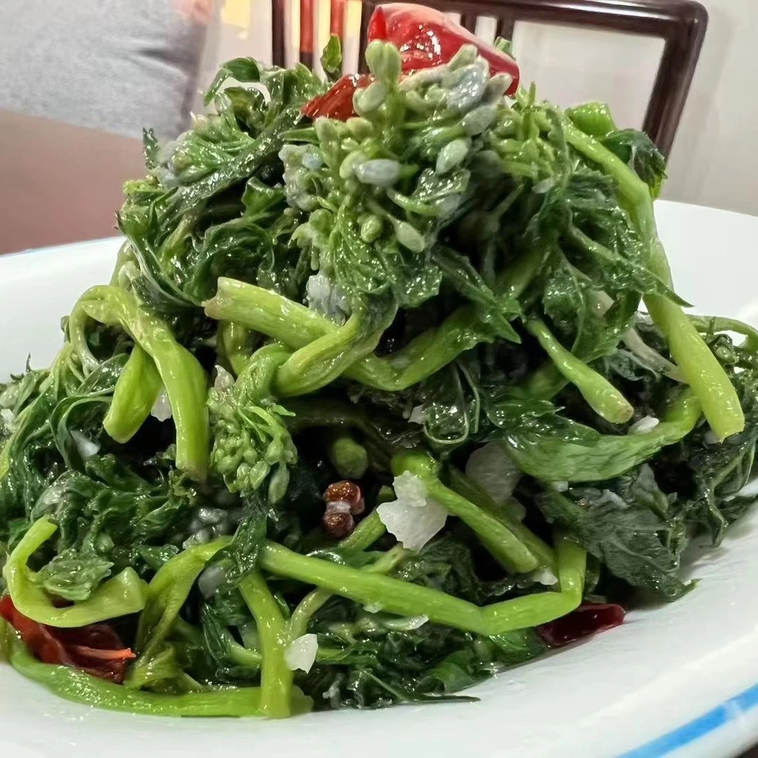 速冻陇南新鲜山野菜速冻组合装250g9袋装一件16袋装一件