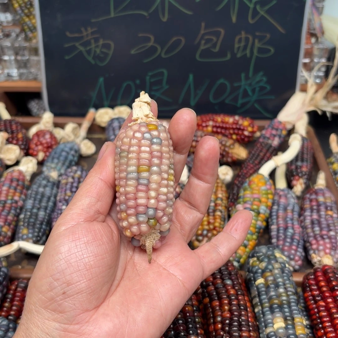 柏香籽/百香籽吊坠Y***.