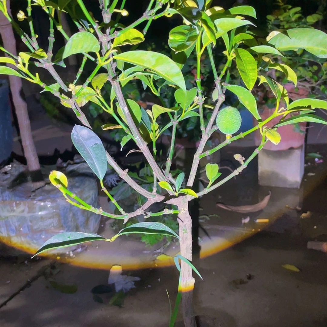 完全开放美**山g m 888888888888