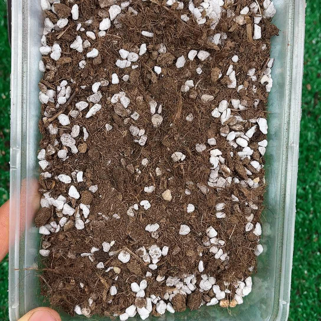 带珍珠岩的进口土10升