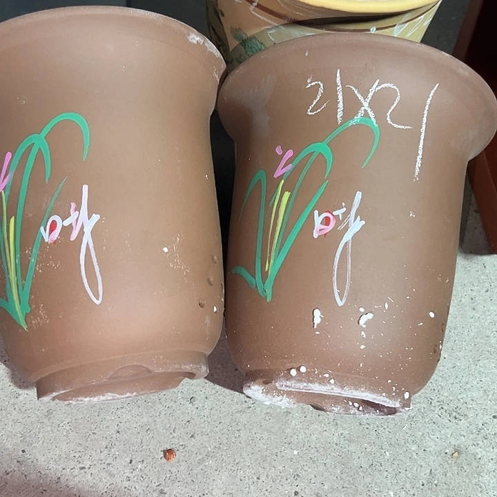 紫砂紫砂紫砂紫砂