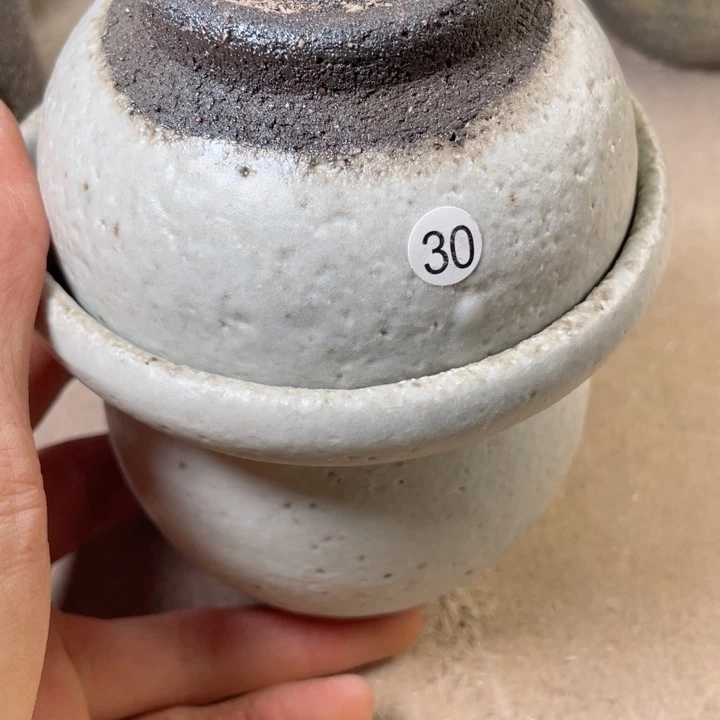 茶宠盏盏灯都是你给的温暖