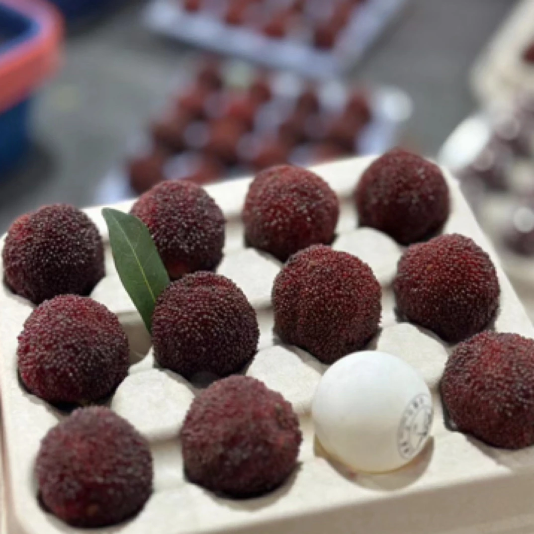 【微微甄选】正宗仙居东魁杨梅当季限定杨梅甜嫩味浓顺丰冷链