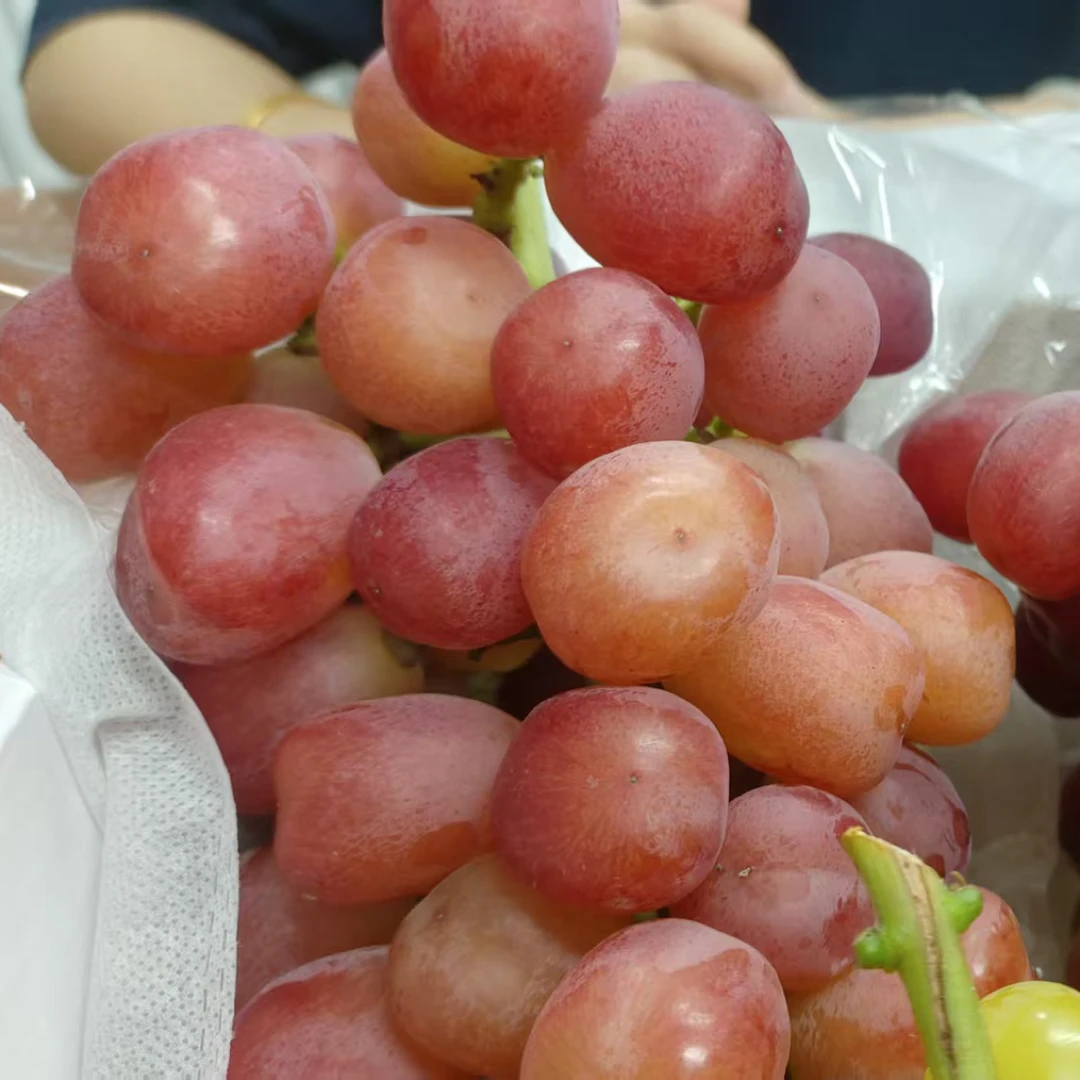阳光玫瑰葡萄，香甜可口。