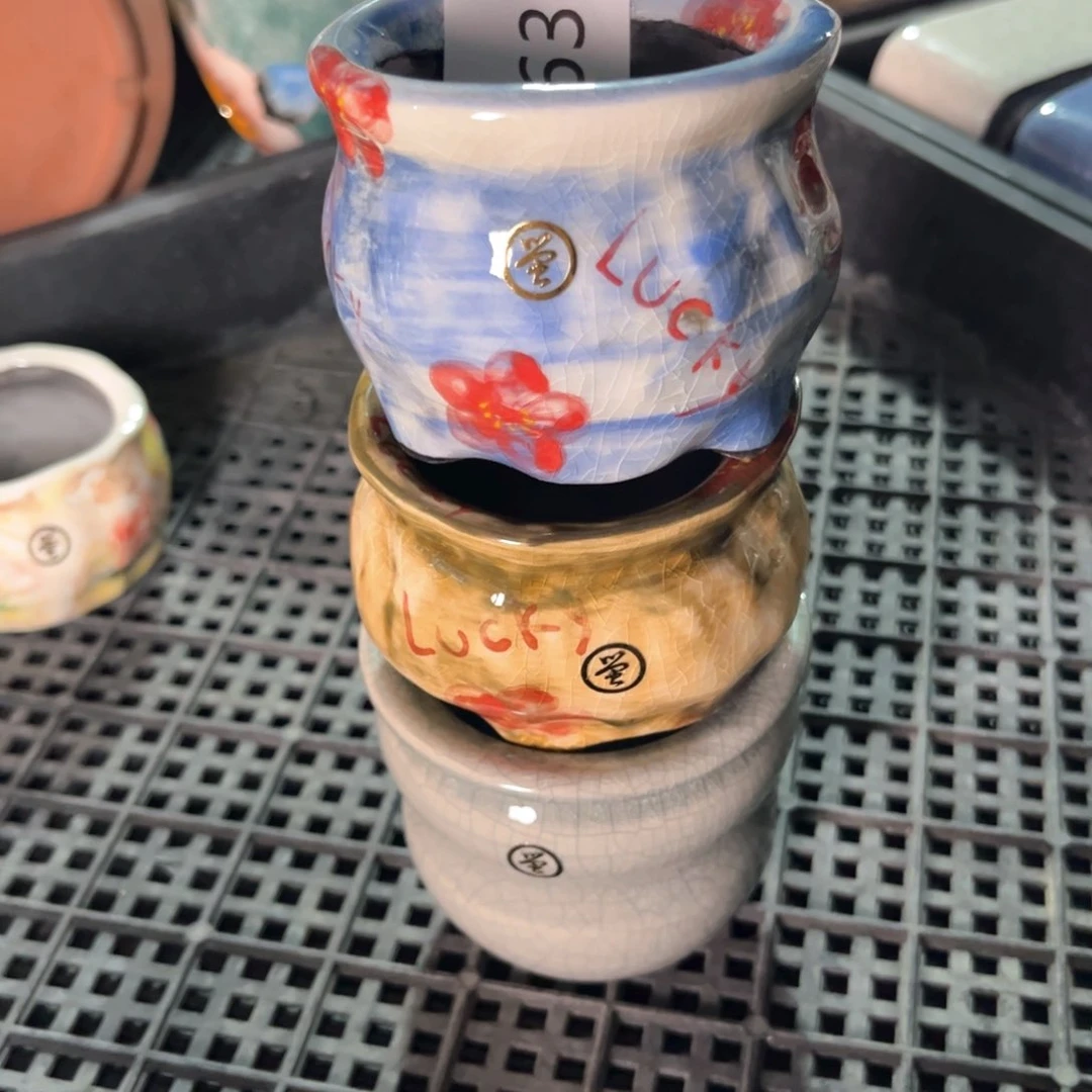 630多肉花盆福利3个