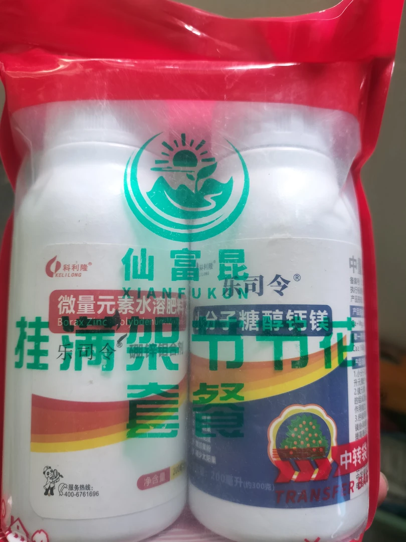 挂满架增产套餐 拉直保花油豆垃圾豆绿