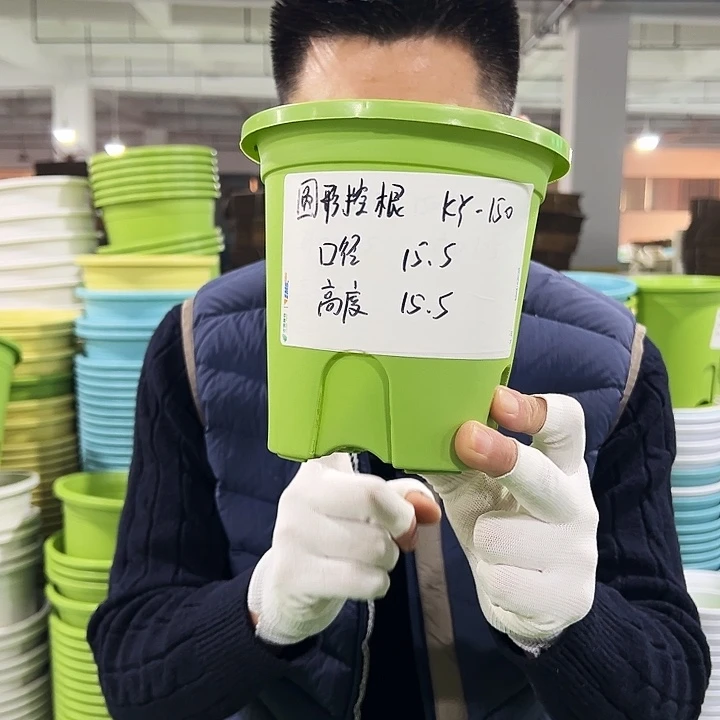 正品圆控口15高15果绿10只无托