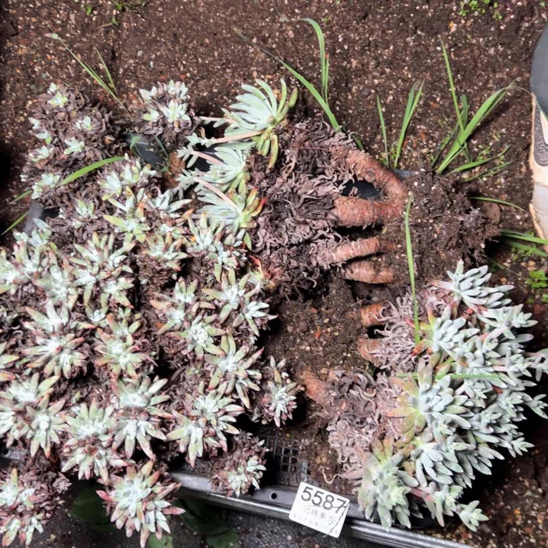 5587哈哈哈哈哈哈哈哈