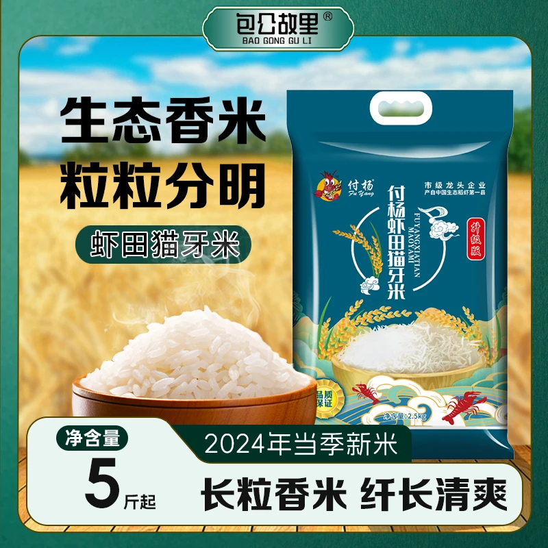 虾田猫牙香米2024年当季新米真空包装长粒香米软糯香甜大米现磨现包谷饭