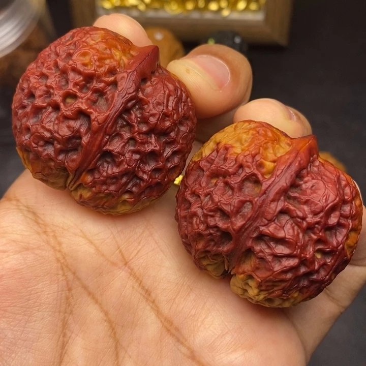 把件文玩核桃40尺金蟒元宝