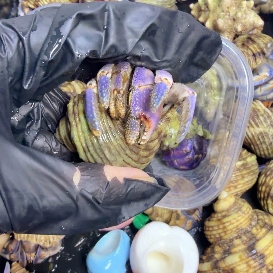 102在这座美丽而神秘之处中寻找美丽