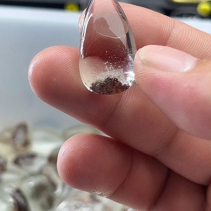 水晶未镶嵌吊坠(赠链)