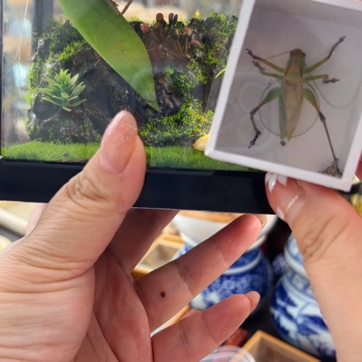 随*哈哈哈带素背带扎嘴