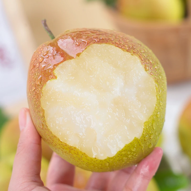 【自然搭档】山西玉露香梨4.5斤装新鲜应季水果皮薄脆甜多汁