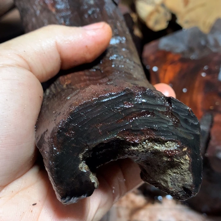 黄花梨/降香黄檀我*谁海南黄花梨12