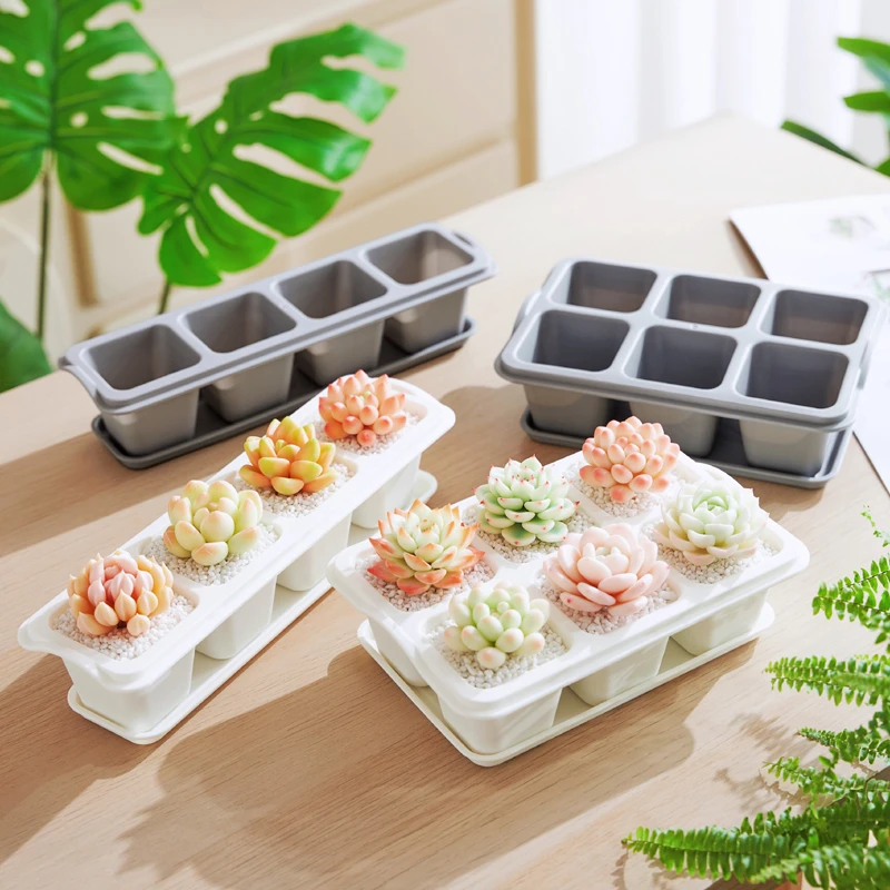 多肉塑料花盆带托盘白色简约加厚透气连排小方格育苗控养专用方盆