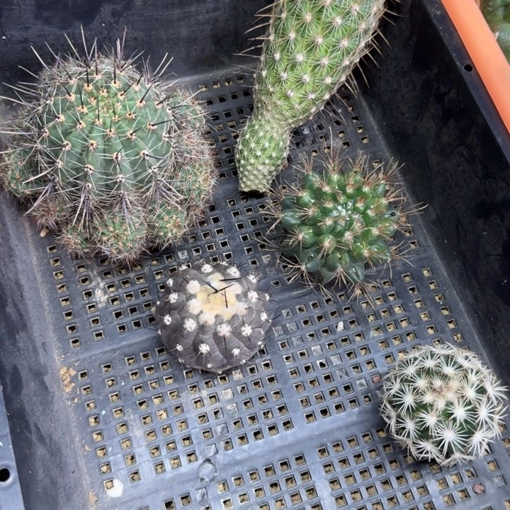框拍福利4，不退不换