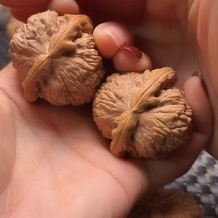 文玩核桃把件43白狮子