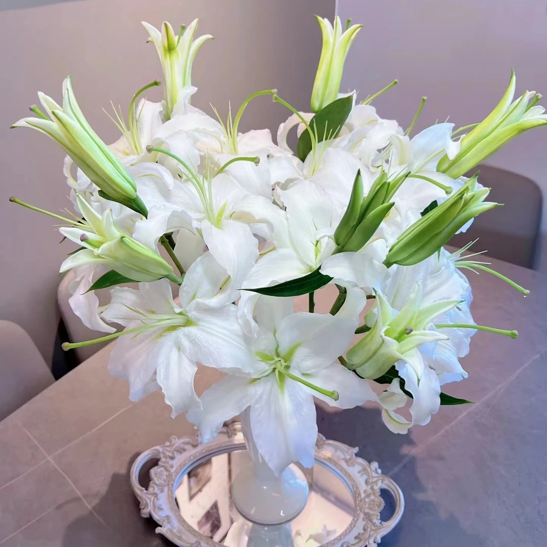 随机色百合 收到先醒花拍1单发中通2单升级快递