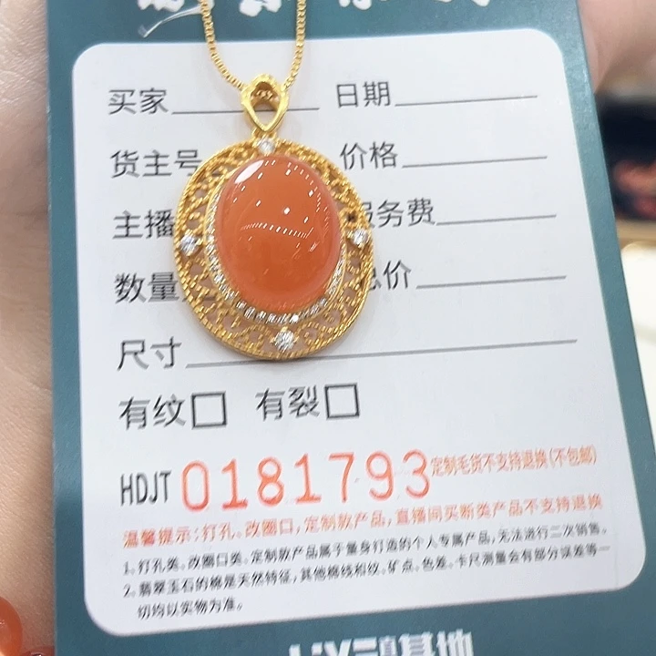 颈饰银S925镶嵌南红玛瑙HDJT0181793