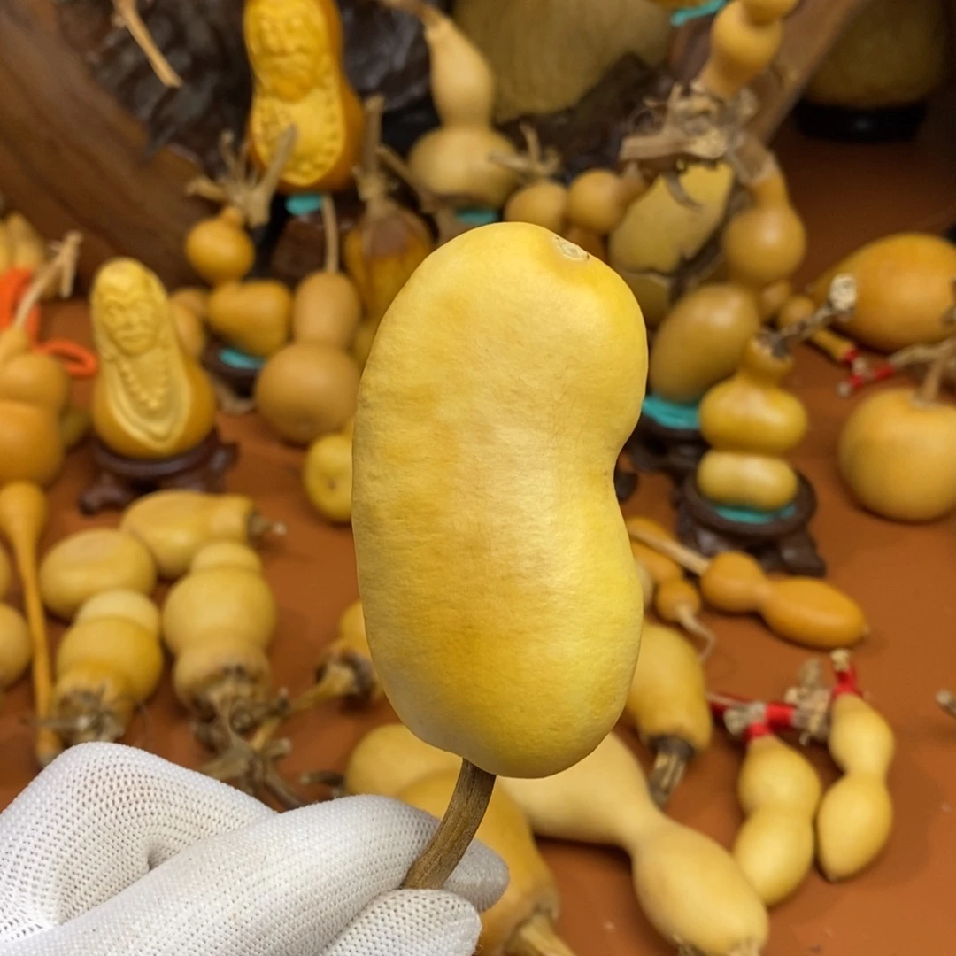 乔***琳哭了哭哭了教练咯教练