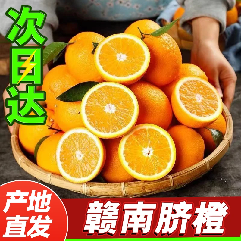 【次日达】12.6正宗赣南脐橙当季水果橙子新鲜采摘送开果器多仓发货黄金口感专属江西省