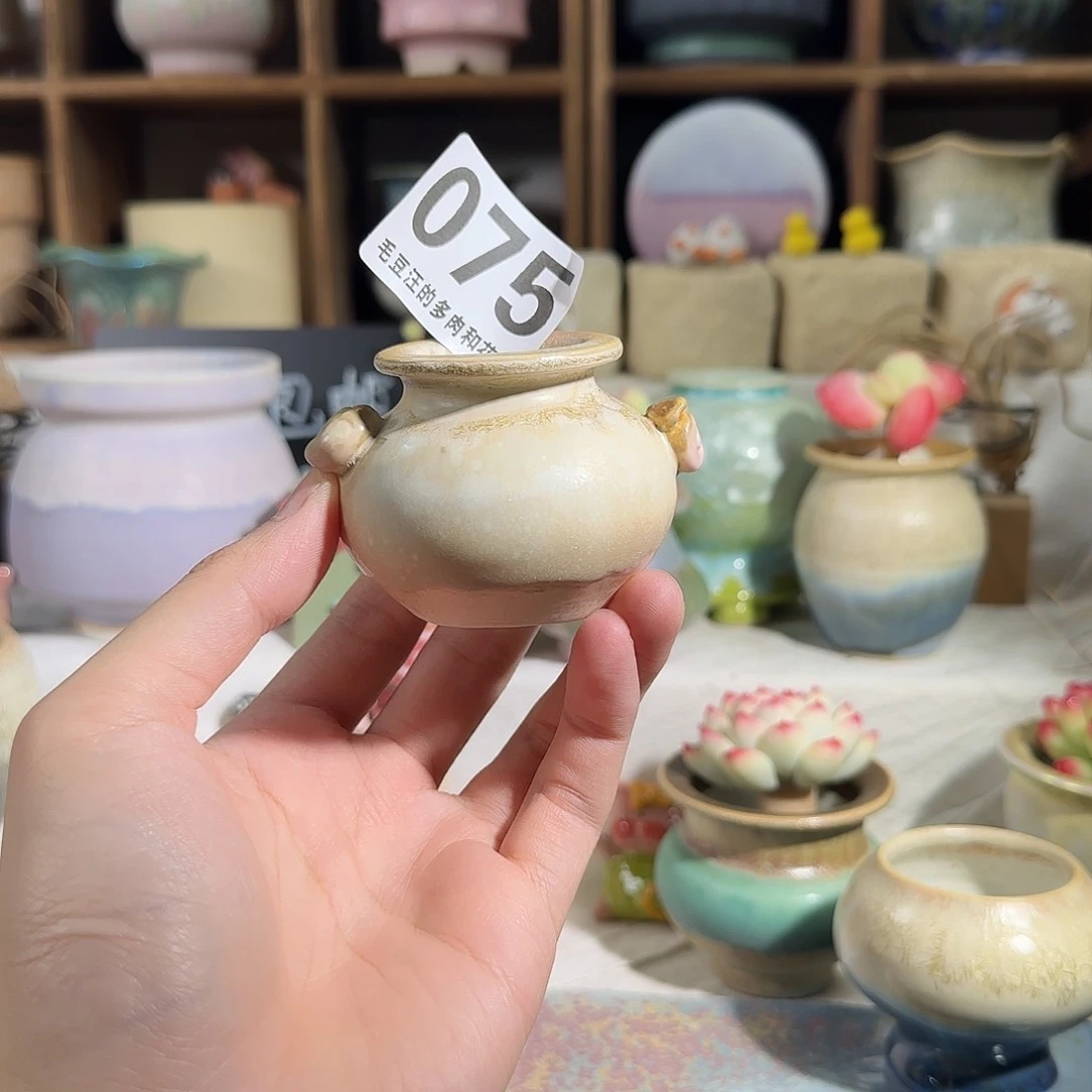 075 口3 默认微瑕