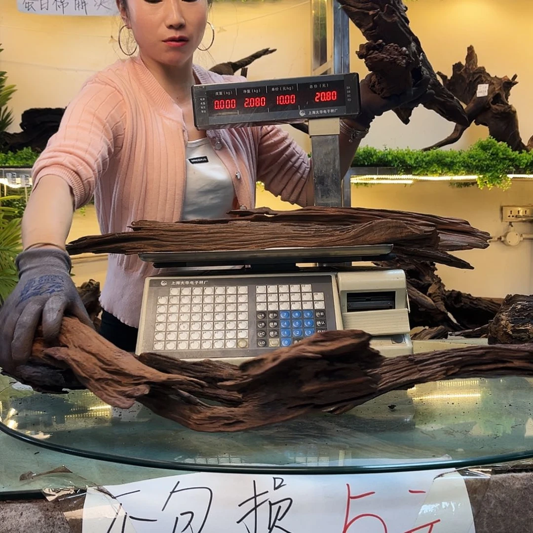 柚木一***草沉木鱼缸造景