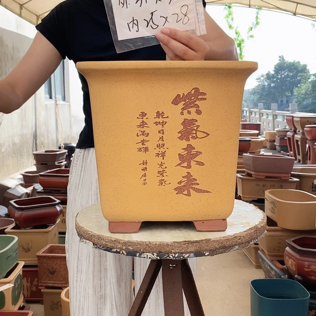 紫砂花盆紫砂花盆