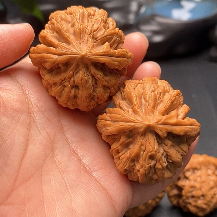 把件文玩核桃红锦鲤42尺