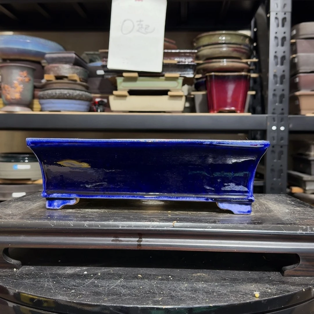 红陶易*g g h h h b g b v