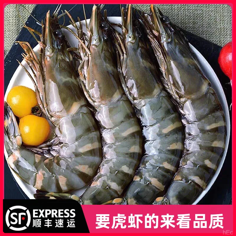 活冻黑虎虾大虎虾鲜活速冻九节虾海鲜水产深海捕捞特大海鲜水产品