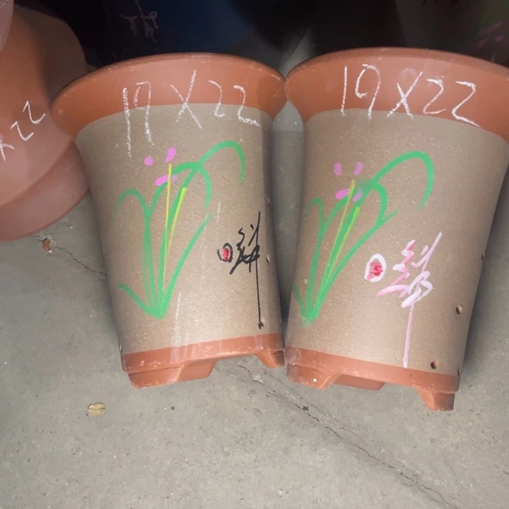 周深周深周深周深周深