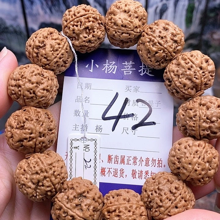 手串金刚菩提22双龙