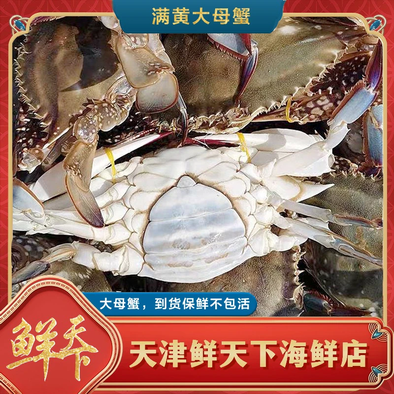 【保鲜不保活】足黄母蟹一斤2-4只左右 一只2-5两左右 掉爪