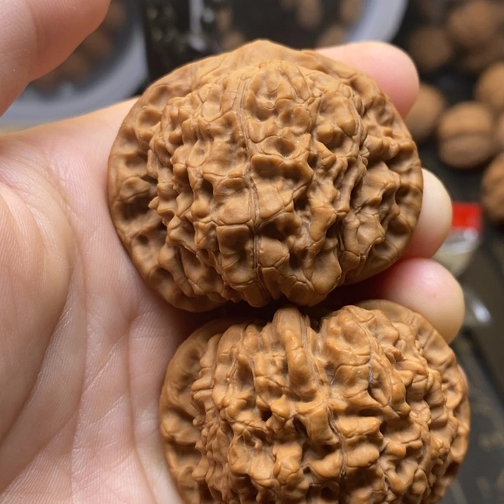 大叶紫檀（黑酸枝木类）