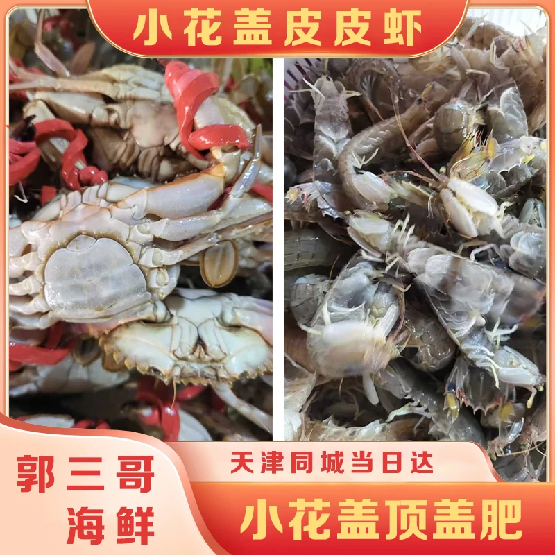 【保鲜不保活】混搭花盖蟹皮皮虾 花盖单只1两-2两一斤7-8个