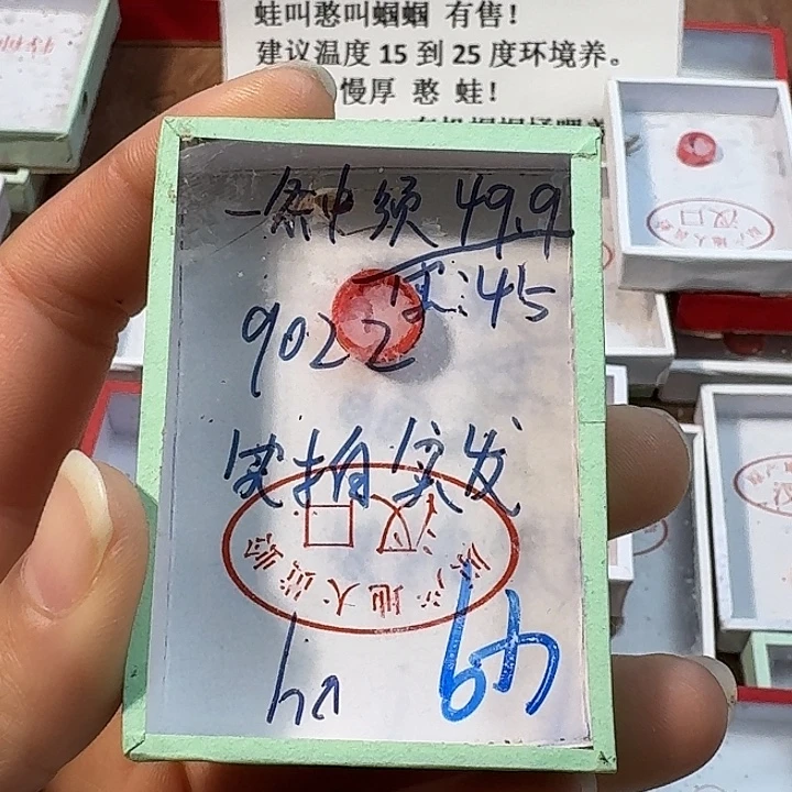 浪***子蟋蟀蝈蝈我2222222