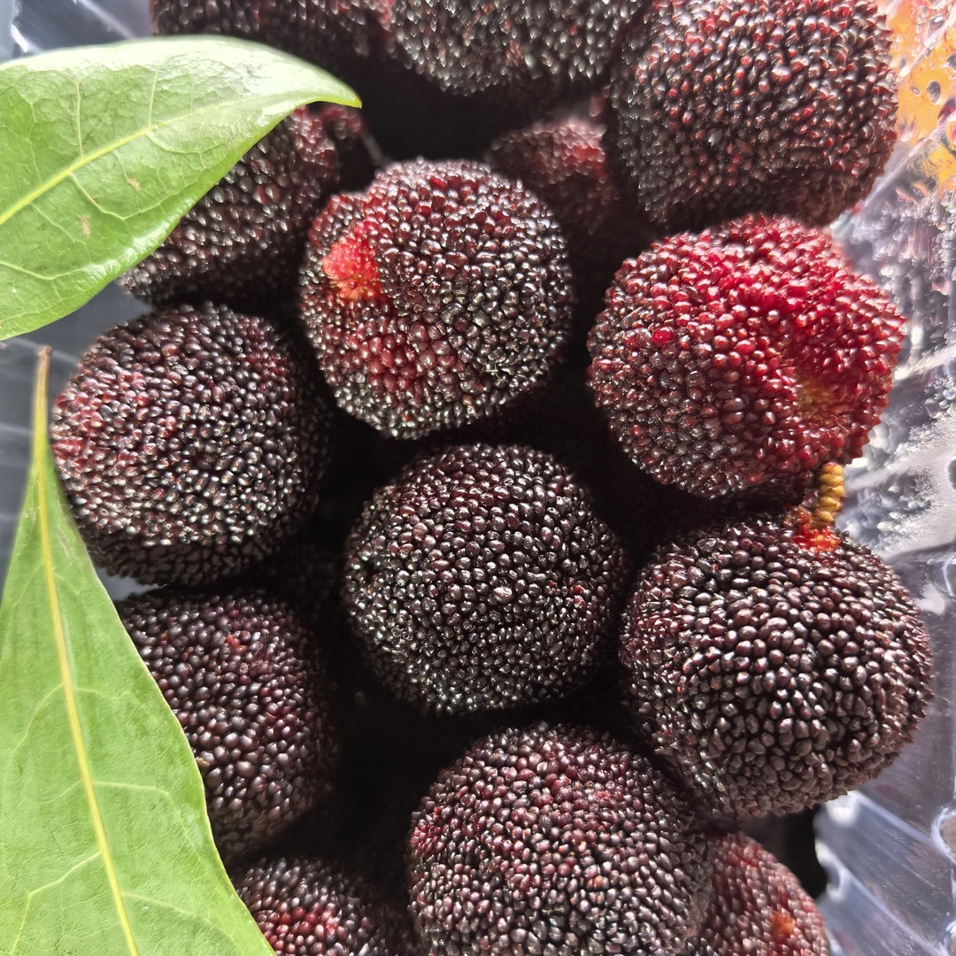 杨梅商店/乒乓球杨梅800克