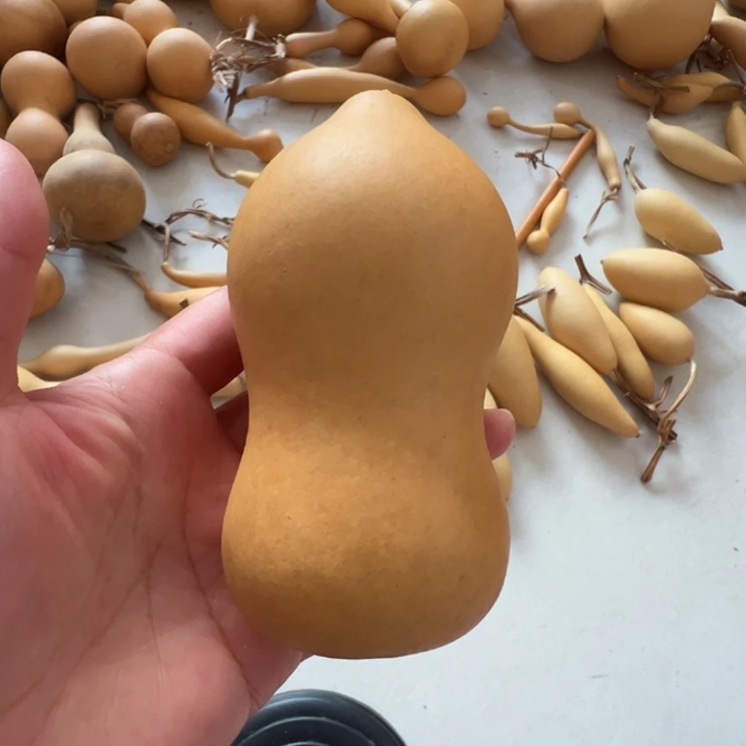 漂亮漂亮漂亮啦啦