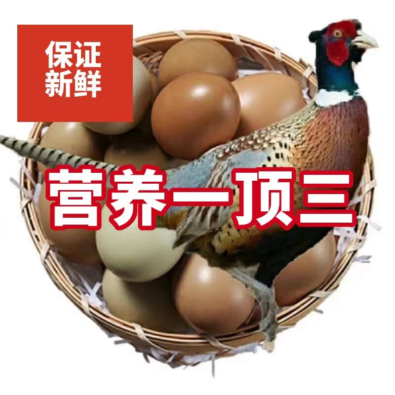 七彩山鸡蛋 营养鸡蛋 新鲜正宗 营养健康 农村散养60枚当天蛋发货
