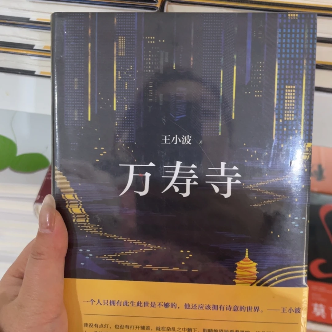 万寿寺精装一个