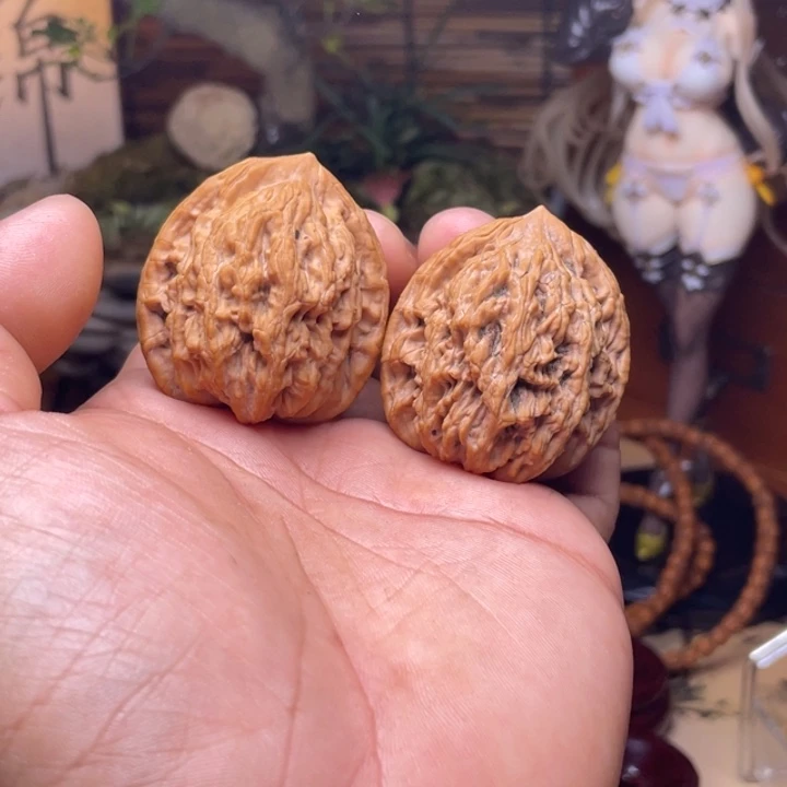 L*39全品麦穗虎头未打底