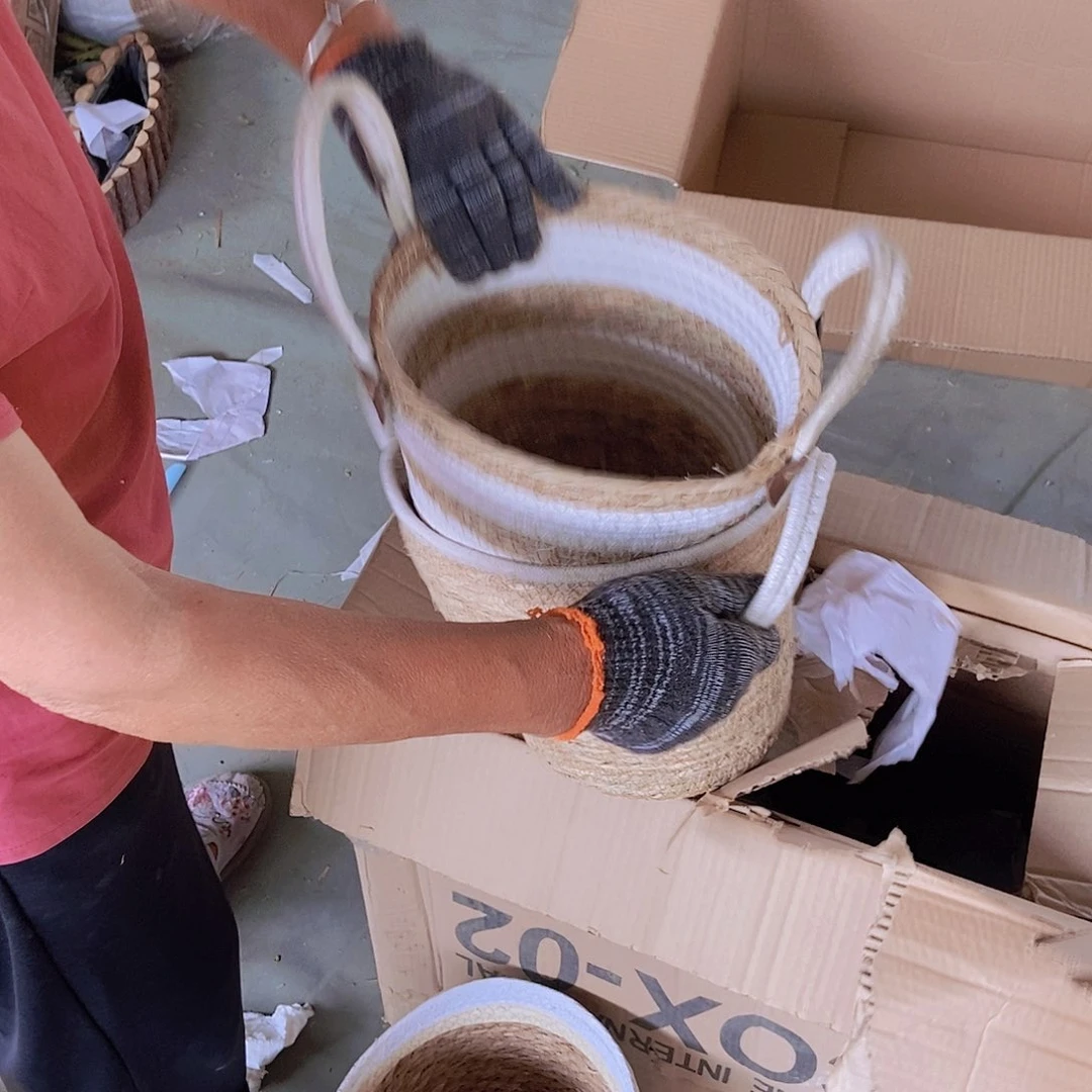 密码牛津纺极兔227