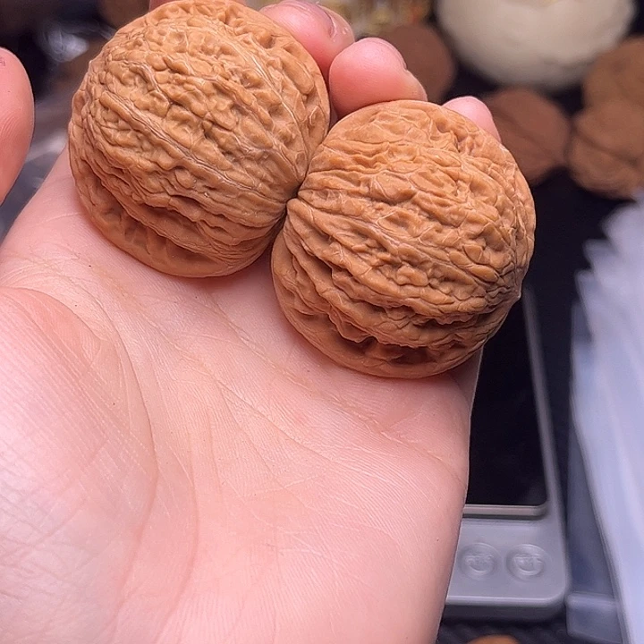 木***阳吹吹吹吹吹吹吹吹