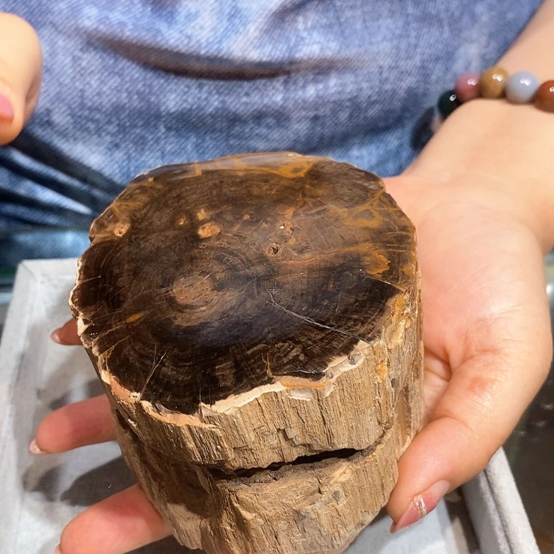 硅化玉天然北票硅化玉原石未镶嵌