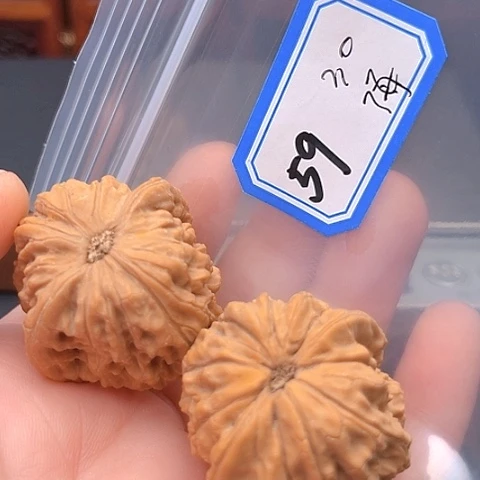文玩核桃吊坠海****措马老四
