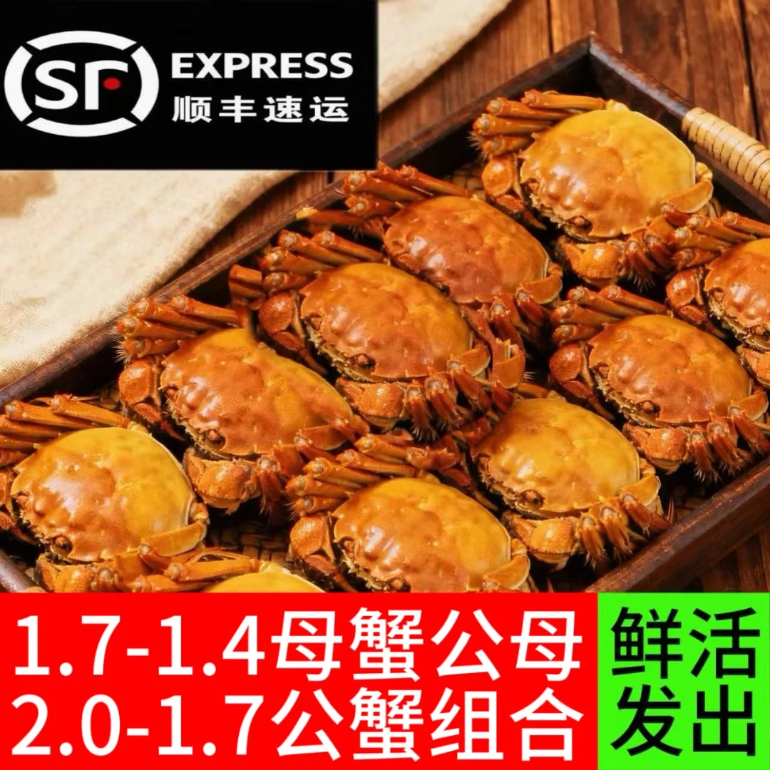 活蟹盘锦河蟹公母组合 母蟹（1.7-1.4两)+公蟹（2.0-1.7两）2斤/3斤