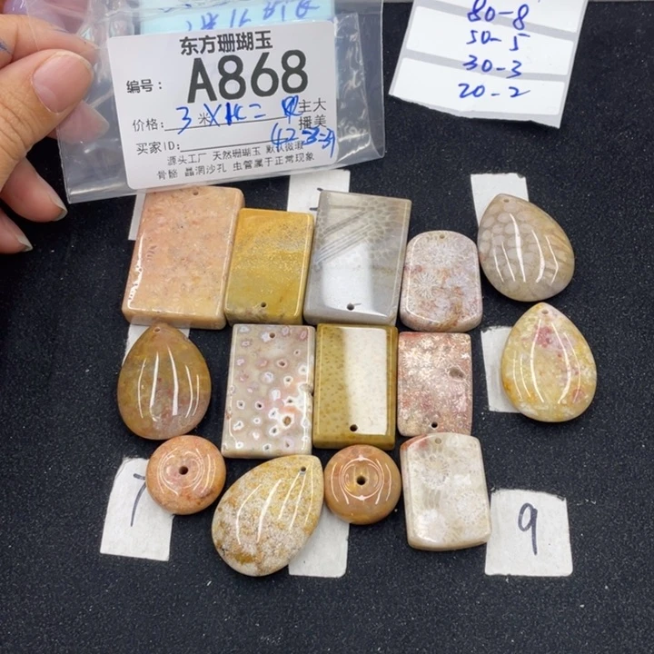 硅化珊瑚（珊瑚玉）颈饰合金水*