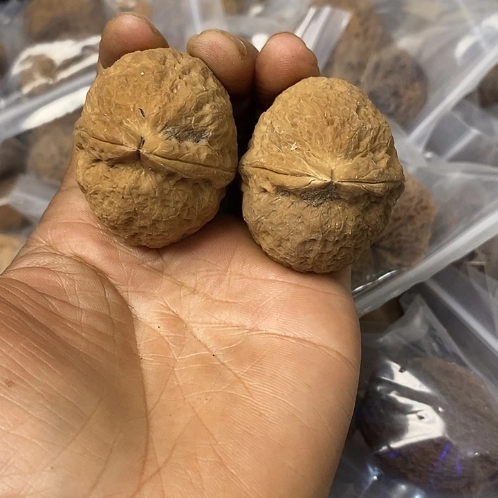 核桃云南铁核桃基地29